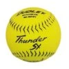 Dudley Thunder SY HYCON ICON NSA 12" Synthetic Slowpitch Softballs (DOZEN): 4E824Y -Head Banger Sports Store 4e824y x700 914fc859 f56b 4a2f 8a76 0c710fb438de